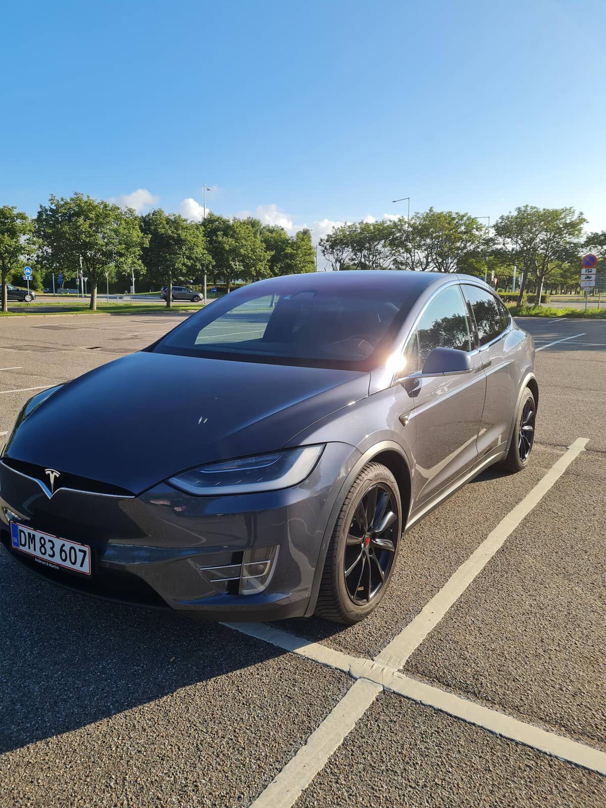 TESLA
Model X 1