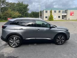 PEUGEOT 
                3008 Thumbnail 4